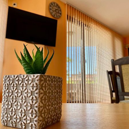 Cozy Apartment In The Center Of 프리모르스코 외부 사진